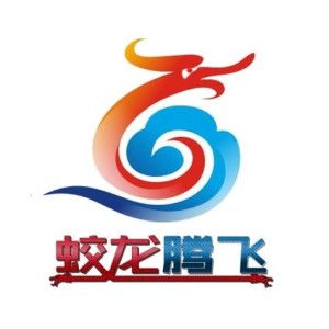深圳市蛟龍騰飛網絡科技